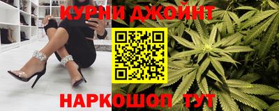 гашик Донской