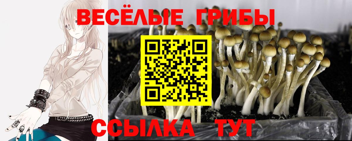 Галлюциногенные грибы Magic Shrooms Минеральные Воды