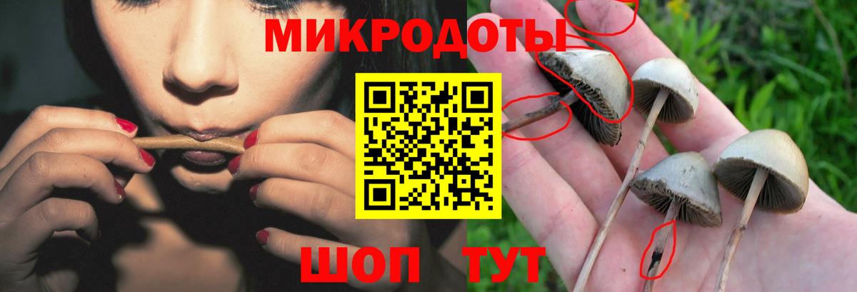 Псилоцибиновые грибы Magic Shrooms  Вход с VPN  Минеральные Воды  Псилоцибиновые грибы GOLDEN TEACHER 